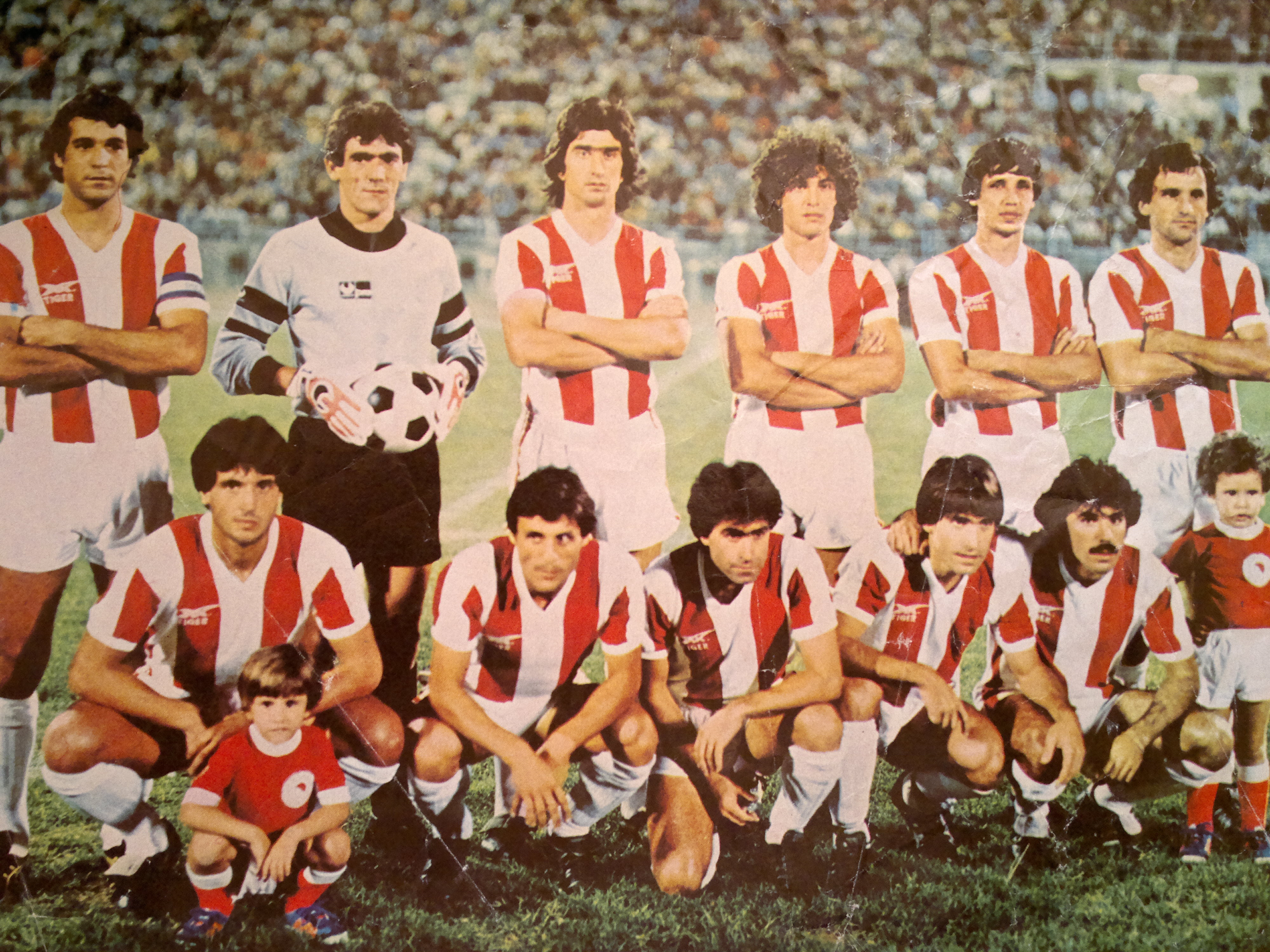 osfp1981
